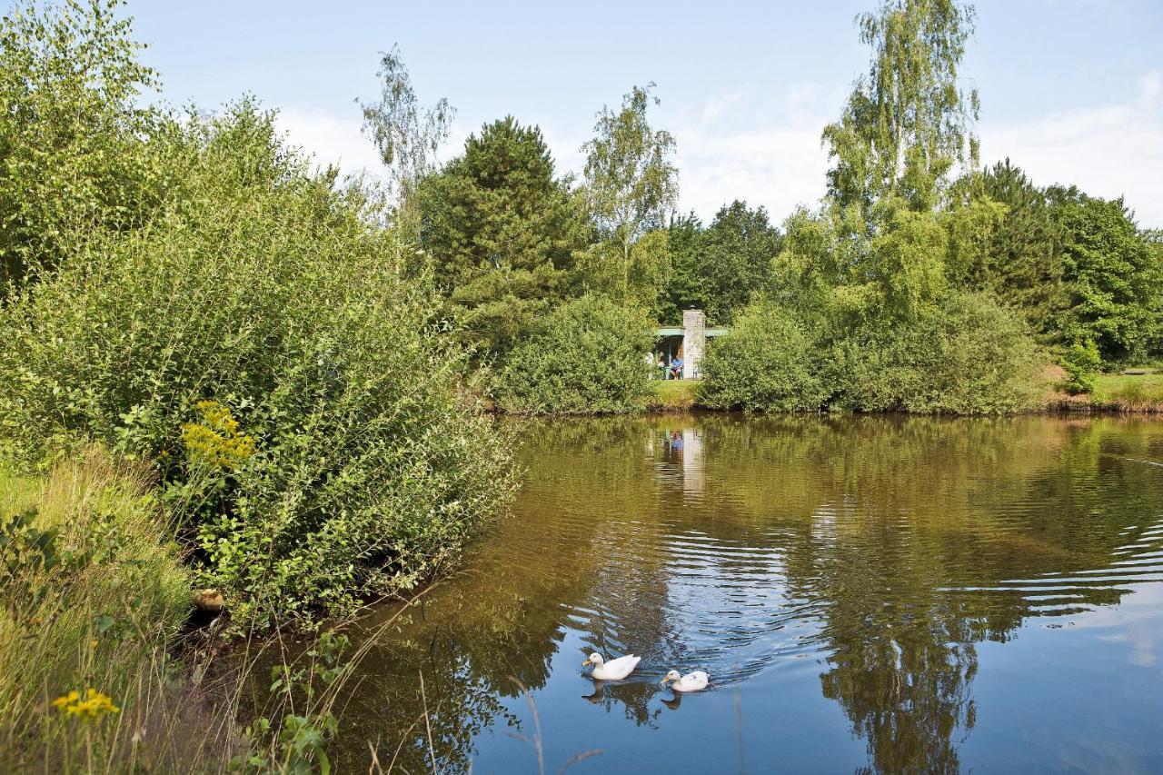 Отель Center Parcs Limburgse Peel Limburg-Brabant Америка Экстерьер фото